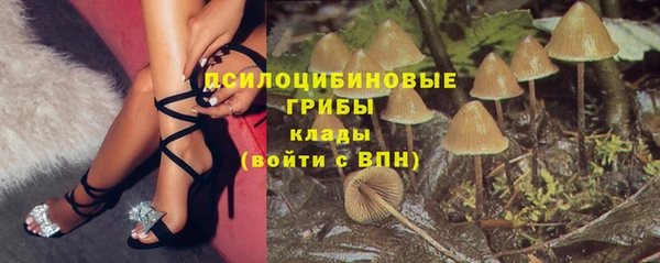 дурь Алзамай