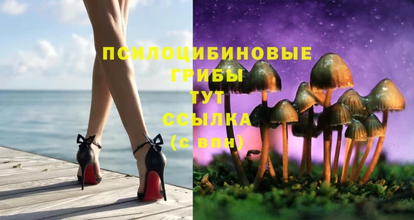 бошки Алексин